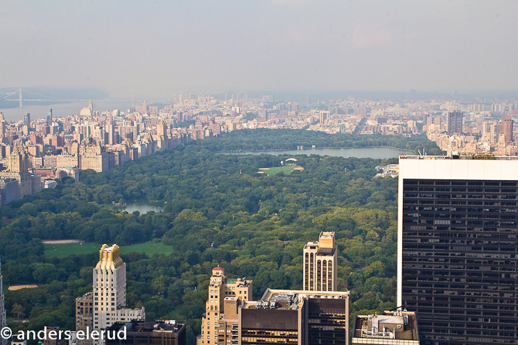 Central Park from Top of the Rock